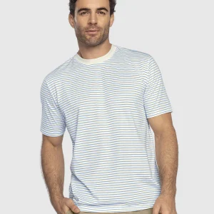 Camiseta básica estampada de manga corta