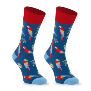 Calcetines divertidos de algodón, LOROS