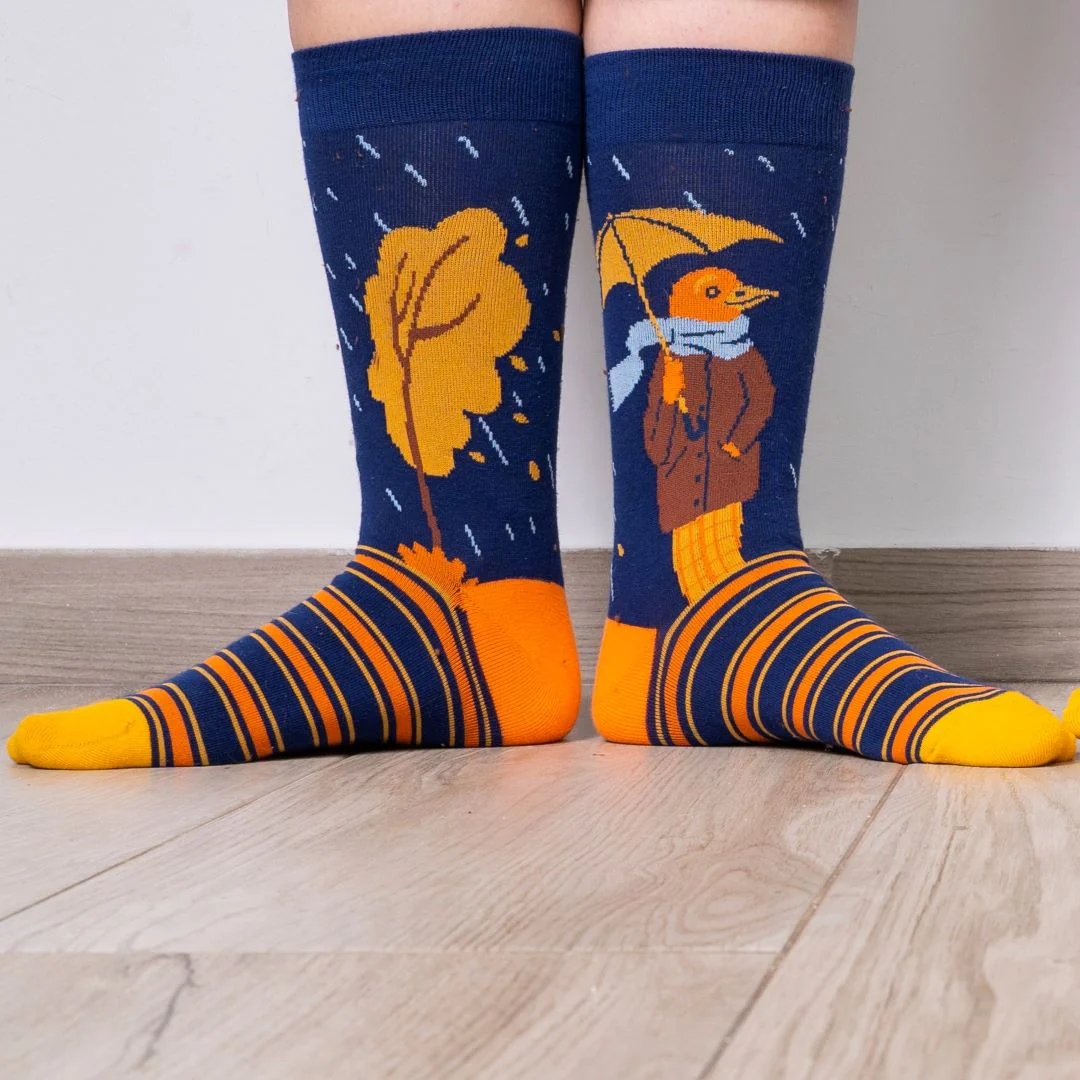 Calcetines originales de algodón. PAJARO LLUVIA - Imagen 4