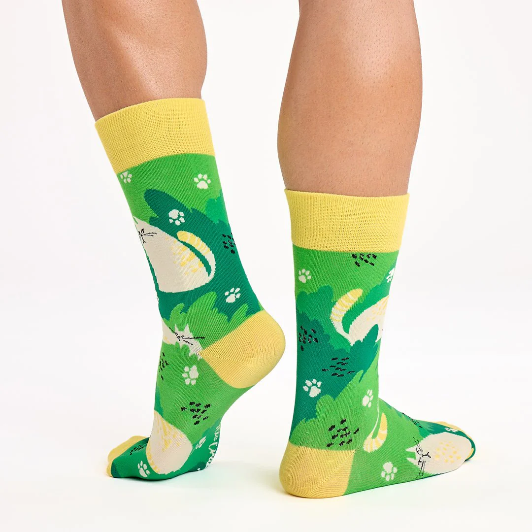 Original pack regalo con 3 pares diferentes de calcetines + cajita regalo GATOS - Imagen 4