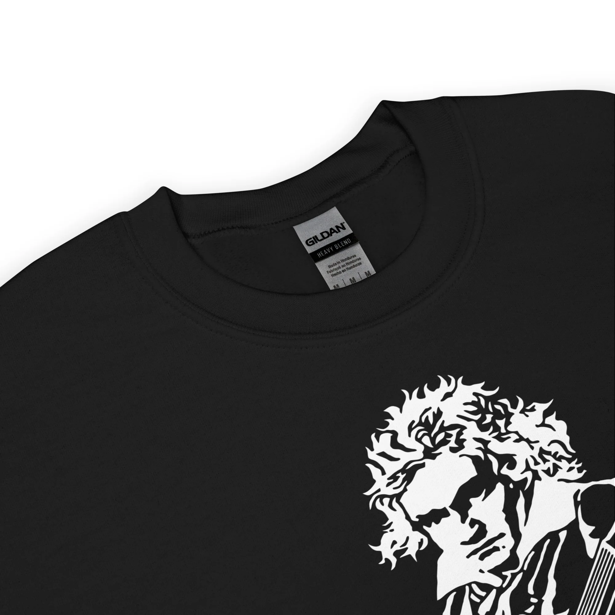 Beethoven con Guitarra Eléctrica - Imagen 4