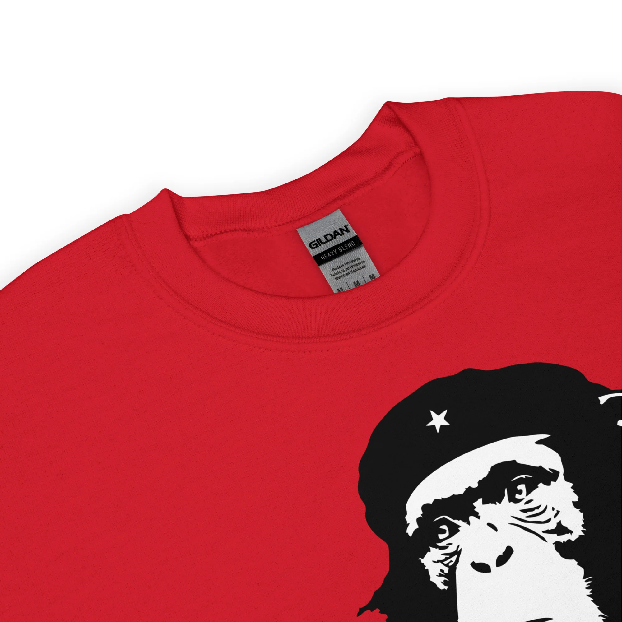 Viva la Evolución - Imagen 4